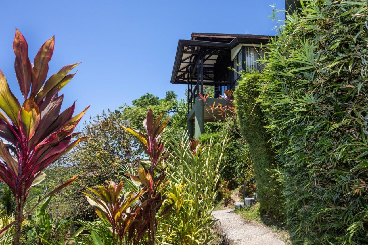 Tiki Villas Rainforest Lodge - Adults Only Увита Екстериор снимка