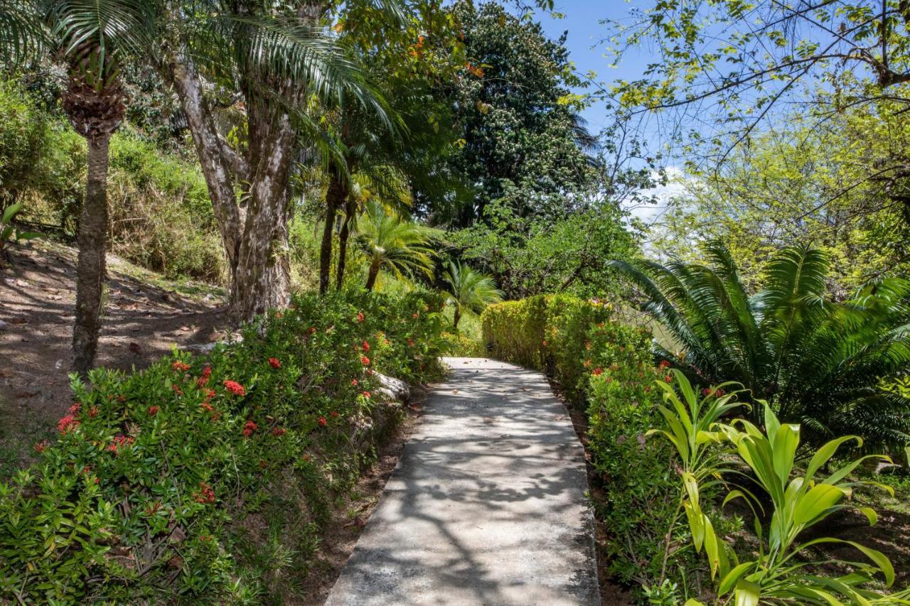 Tiki Villas Rainforest Lodge - Adults Only Увита Екстериор снимка